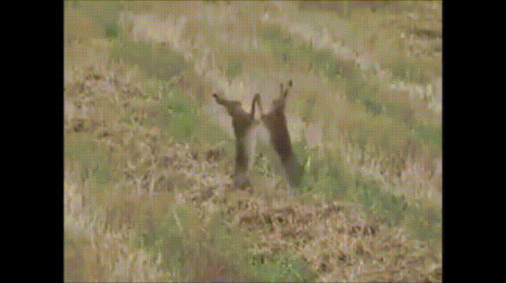 or maybe we could make a big bet to squeeze them dry.