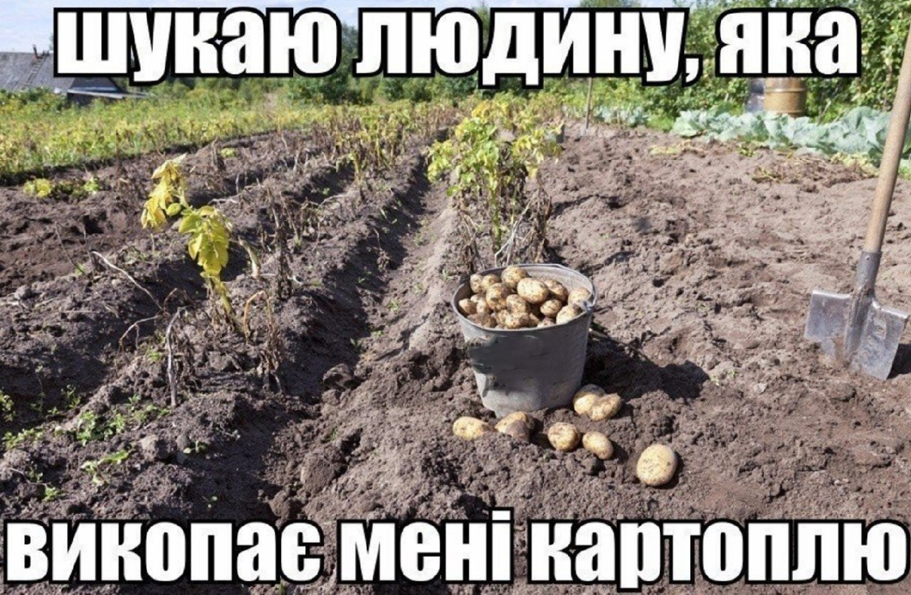 Как сделать кальций из яиц в домашних условиях Как сделать кальций из яиц в домашних условиях