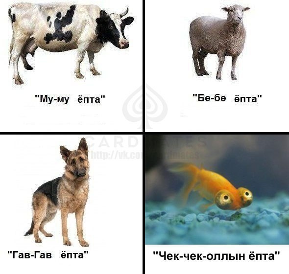 Гави гав